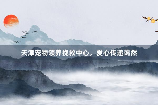 天津宠物领养挽救中心，爱心传递蔼然