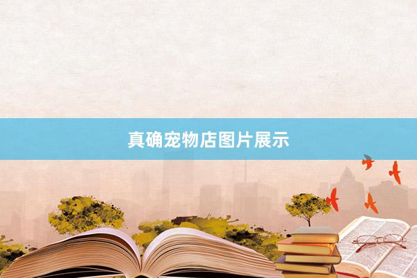 真确宠物店图片展示